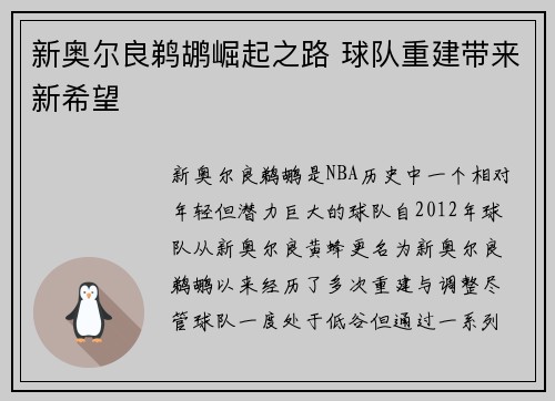 新奥尔良鹈鹕崛起之路 球队重建带来新希望